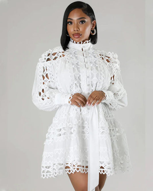 Lace Cutout Dress for Women Stand Collar Long Sleeve Style Chic Look