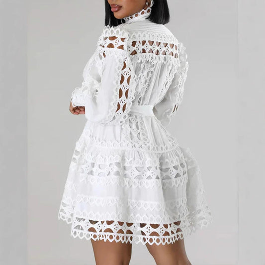 Lace Cutout Dress for Women Stand Collar Long Sleeve Style Chic Look